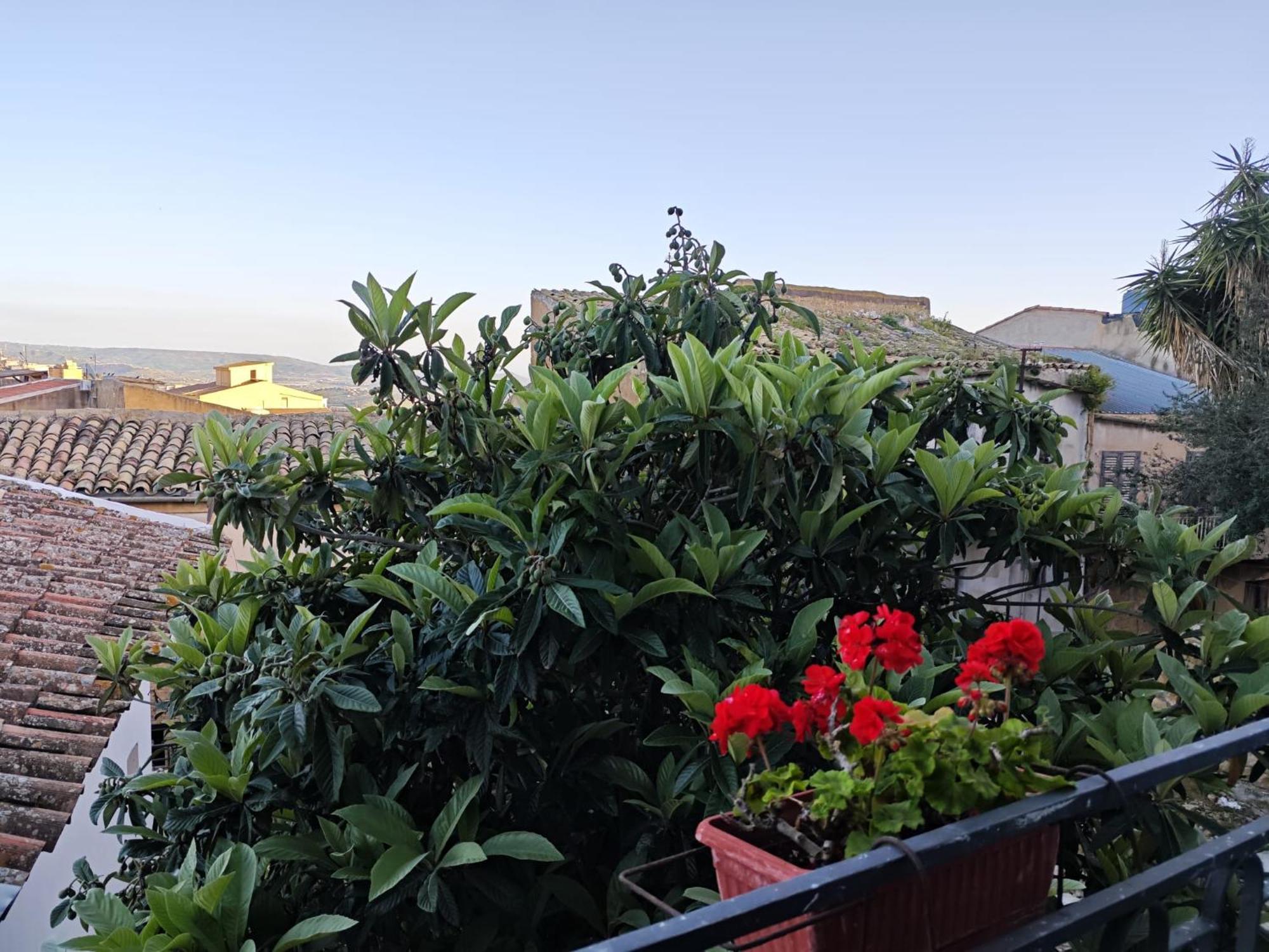 Villa Amoroso - Ospitalita Mediterranea Agrigento Esterno foto
